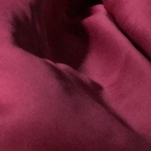 Meet your Posher, Dina